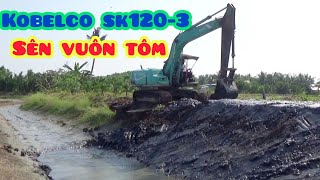 Xe Cuốc KOBELCO Đĩa Bay Sên Vuôn Tôm Vùng Miệt Thứ by Thái Dương TV 11,035 views 5 months ago 14 minutes, 26 seconds