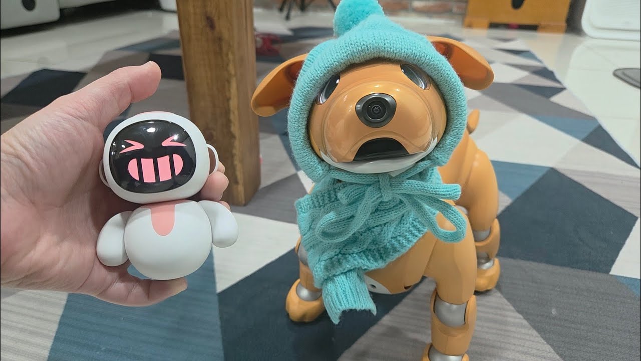 Let's introduce a friend to robot dog