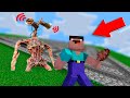 СТРАШНЫЙ ЛАБИРИНТ МОНСТРОВ SCP В МАЙНКРАФТ СИРЕНОГОЛОВЫЙ МУЛЬТЯШНЫЙ КОТ MINECRAFT ПОЕЗД ПОЖИРАТЕЛЬ