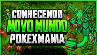 INSANE NEW POKETIBIA: POKEMANIA🐉 #poketibia #pokexgames #pxg
