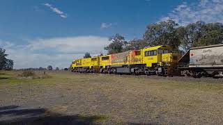 trains , lanefield to spring bluff 31 may 24