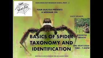 Basics of Spider taxonomy and identification - Rishikesh Tripathi