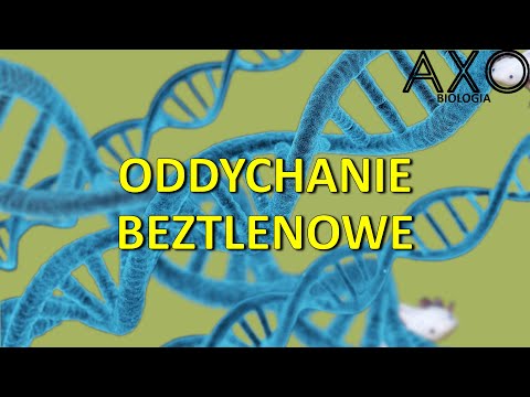 61. Oddychanie beztlenowe