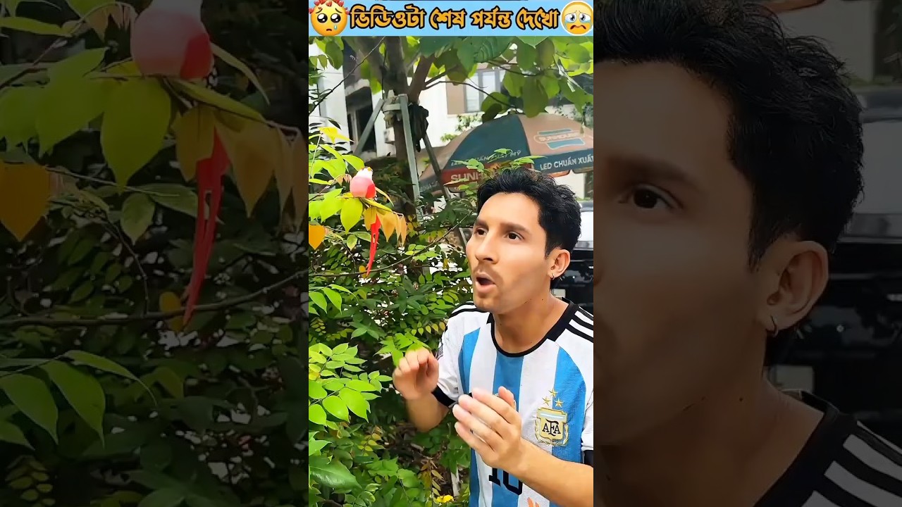 Original Title & Thumbnail