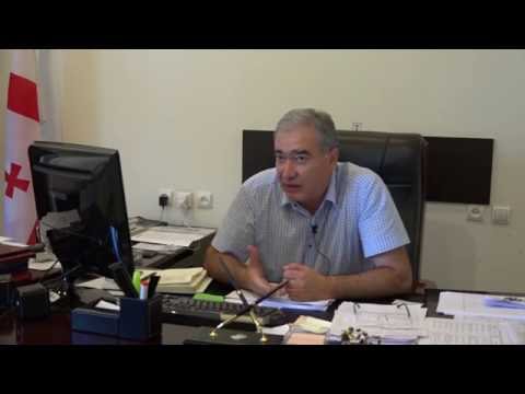 მერაბ თოფჩიშვილი შაუმიანში გაწეული საქმიანობის და პრობლემების შესახებ