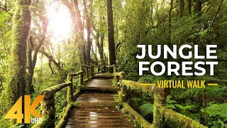 4K Nature Treasures of Hawaii Botanical Garden - Jungle Forest Cinematic Virtual Walk (Slow Motion) screenshot 2