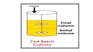Difference Between Batch Fermenter and Fed  Batch Fermenter  Video No  1279