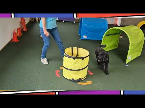 Vorschaubild Video 8 – Pfotensport