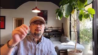 为民营经济设个局:发改委的“民营经济发展局”是圣上胎教经济学的产物