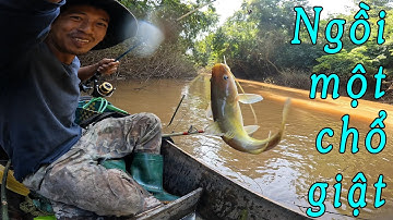 Mã Đà nước rút cá ăn mạnh quá ✅