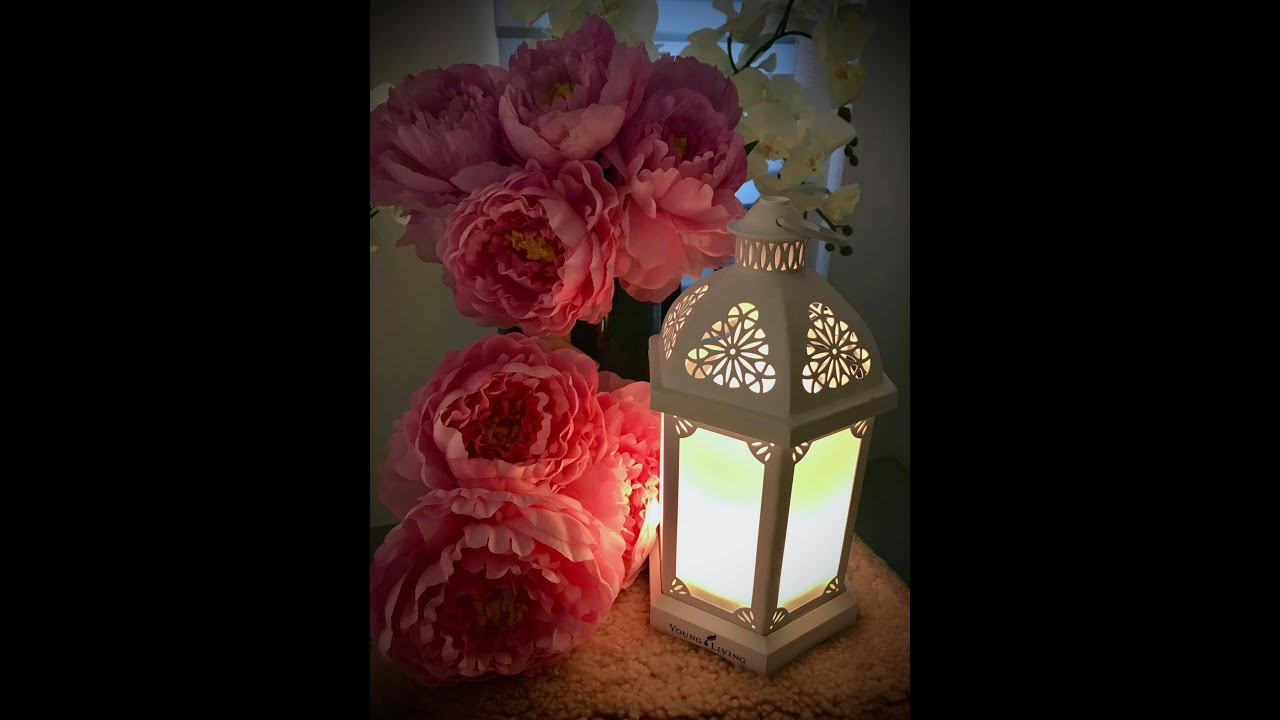 First Impression on Young Living Lantern/How To Set Up