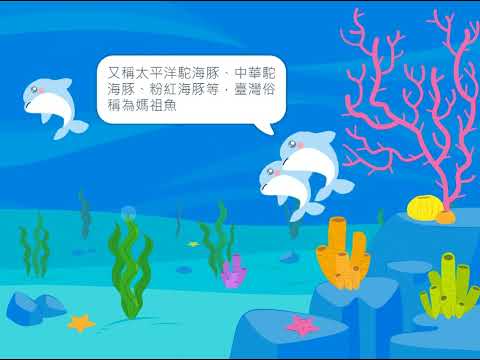 Scratch主題動畫-中華白海豚