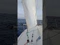 Clothilde-Marie Bernard - objectif Mini-Transat - Palma en approche :)