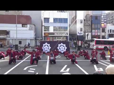 香川大学よさこい連"風華" 第10回龍馬よさこいまつり 四条大宮ロータリー会場