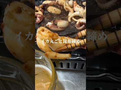 【イカ昆布締め】イカはこれが最高🤤#魚#魚料理#asmr #ハリイカ#shorts #刺身