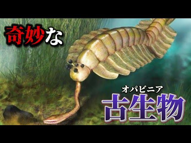 カンブリア紀シリーズ】ゾウの鼻のようなを持つ奇妙な古生物