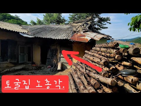 경북 산아래 토굴집 노총각 산삼케고송이체취 텃밭 농사하며 외롭게 산다
