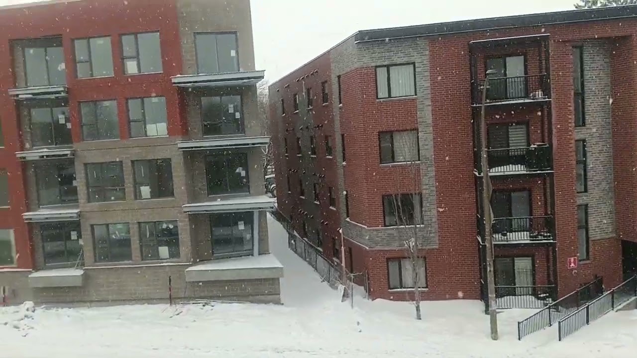 سقوط الثلوج الان بكندا الجو بارد 