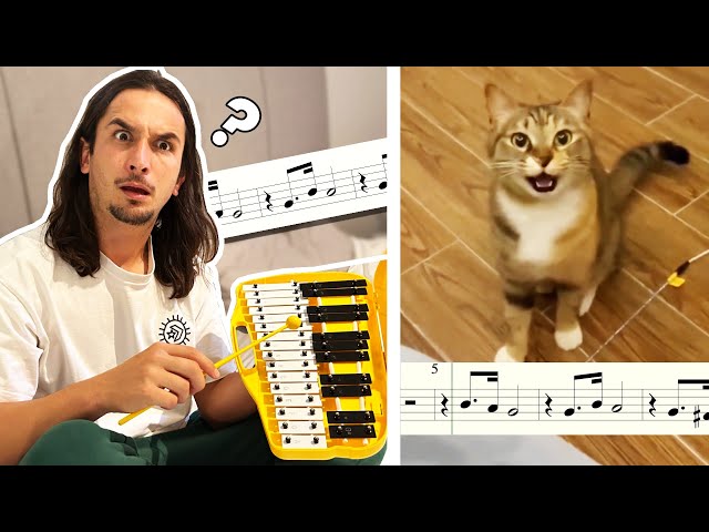 The Kiffness - Xylophone Cat (Singing Cat Collab) class=