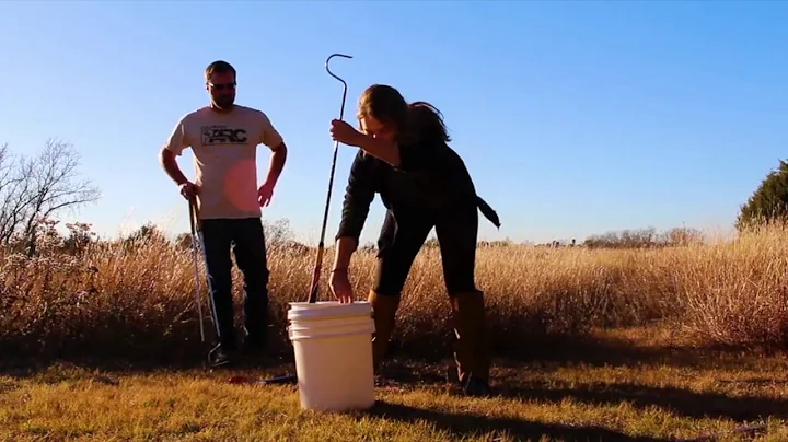 Venomous Snake Safety and Removal Techniques - Trailer