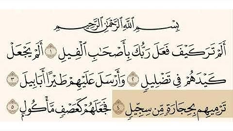 سورة الفيل الشيخ أبو بكر الشاطري