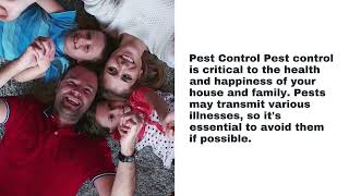 Pest Control Cedar City - Safe and Effective Pest Control With the Right Tools