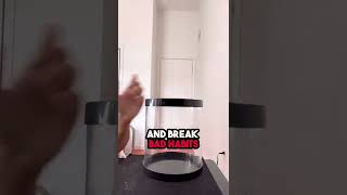 Celebrity Things that ACTUALLY *help* my ADHD | Timer Lockbox Net Worth