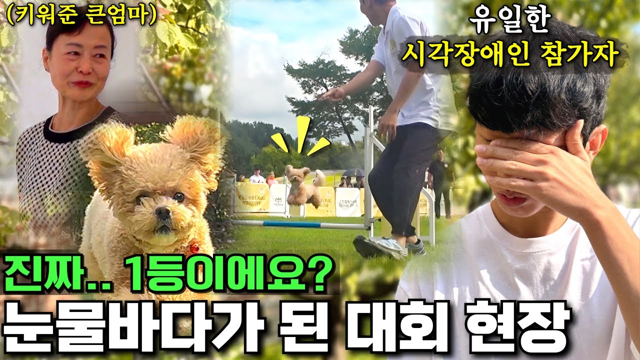 “눈이 안보여도 너만 믿고 뛸게!” 세계 최초 모두가 놀란 한솔과 토리의 첫 어질리티 대회 몰아보기 