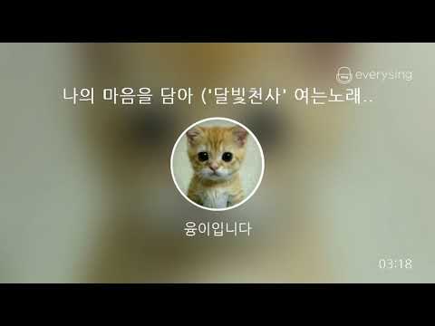 [everysing] 나의 마음을 담아 ('달빛천사' 여는노래)