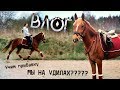 ВЛОГ: МЫ НА УДИЛАХ?? | Учим прибавку | Обычный день на конюшне