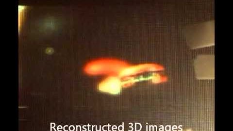 Real-time pickup and 3D display integral imaging system