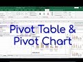 Excel Data Analysis | Pivot Table