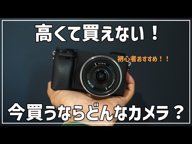 コスパ重視】カメラが高くて買えない！初心者におすすめのカメラを探し