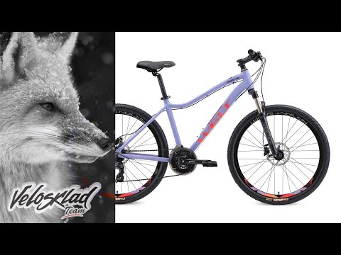 Обзор Welt Edelweiss