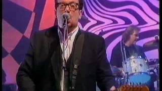 Watch Elvis Costello Leave My Kitten Alone video