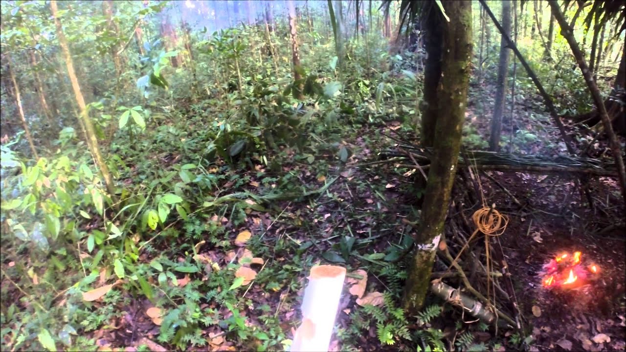 48 hours alone in Guyana jungle YouTube