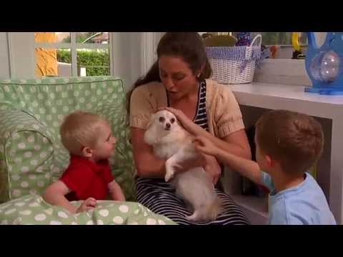 Teach your child safe ways to be around pets