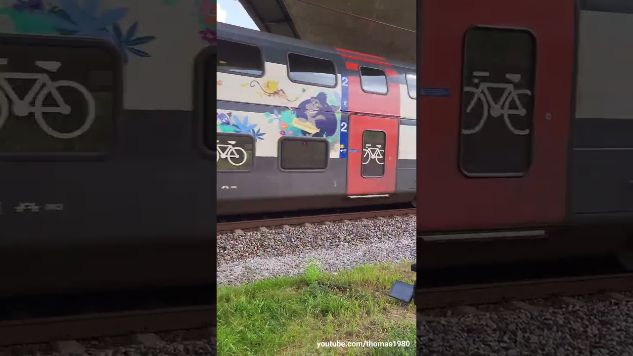 TRAINSPOTTING! 🚆 Züge filmen bei Bassersdorf | Zürich #shorts