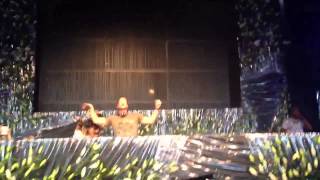 Yves V -"Intro & Animals" - Live @ Tomorrowland 2013 - Boom, Belgium 7-27-13