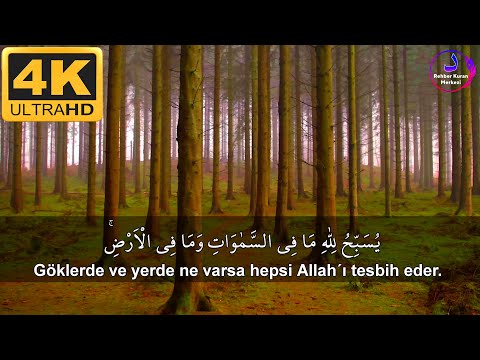 Tegabun Suresi丨İslam Subhi ⁴ᴷ丨Allah'ın izni olmaksızın hiçbir musibet isabet etmez.