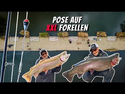 Mit Pose & UL-Köder zum Forellenrekord! | Mega Fänge & lachende Gesichter am Forellesee