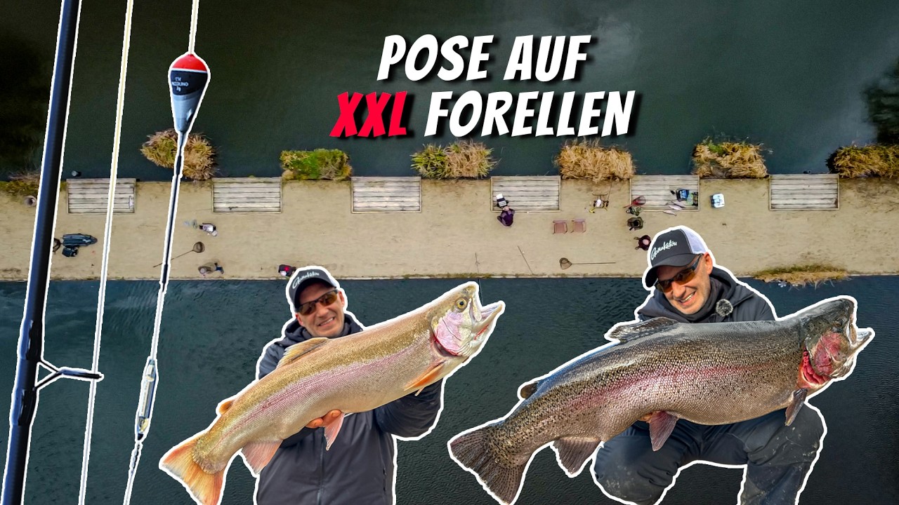 Mit Pose & UL-Köder zum Forellenrekord! | Mega Fänge & lachende Gesichter am Forellesee
