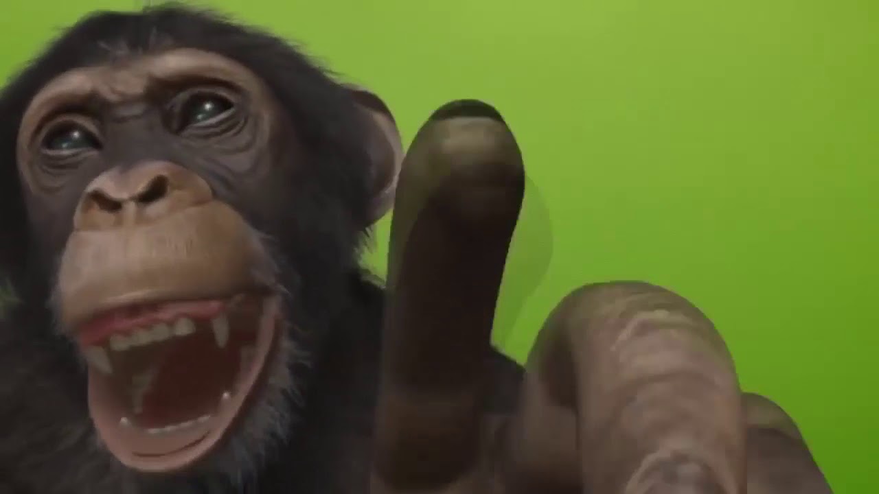 Говорящие аватары для заработка в интернете Videopal