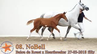 08 Nobell V. Balou Du Rouet X Heartbreaker .Prinsjesdag.eu