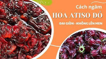Cách Ngâm Hoa Atiso Đỏ (Hoa Bụp Giấm) Với Đường Giòn Dai, Không Lên Men || Để Cả Năm Vẫn Ngon