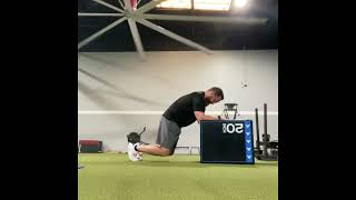 Modified Bear Plank