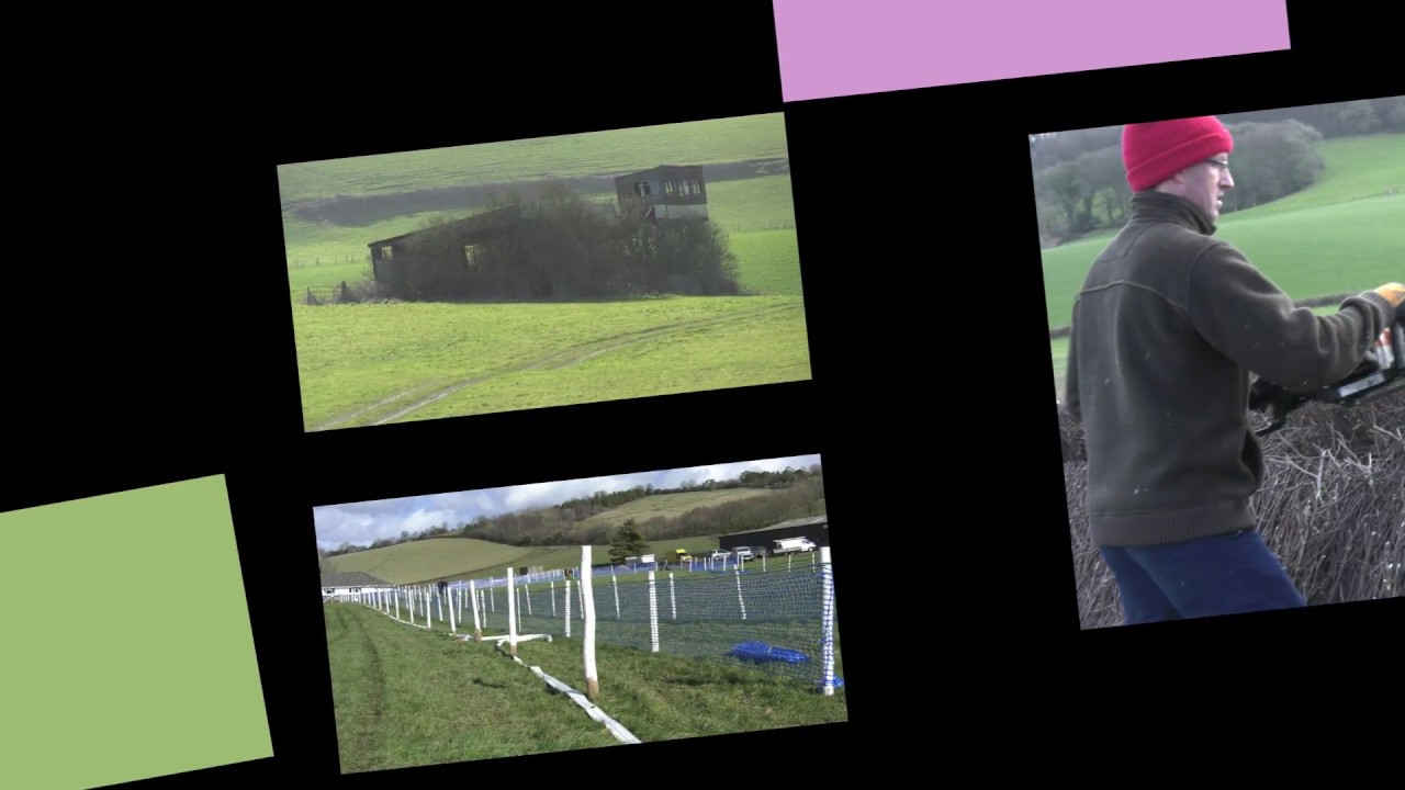 Buckfastleigh Point to Point 2018 YouTube