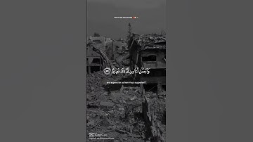سورة النساء🖤#سيلينا #CapCat #سورة النساء # قران #فلسطين #فلسطين حرة#Free Palestine