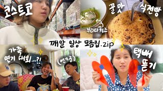 [vlog🇦🇺] 오뉴월의 깨알 일상 기록 ⎸ 코스트코, 가족 연기 대회,택배하울, 엄빠와 데이트, 사슴에게 노래 불러주기, 지전 맛있는 식전빵