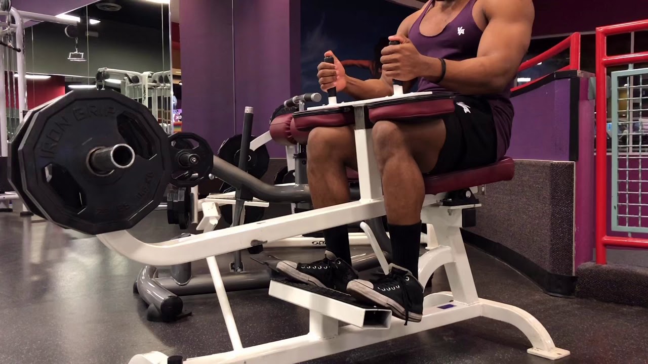 Seated Calf Raise 
